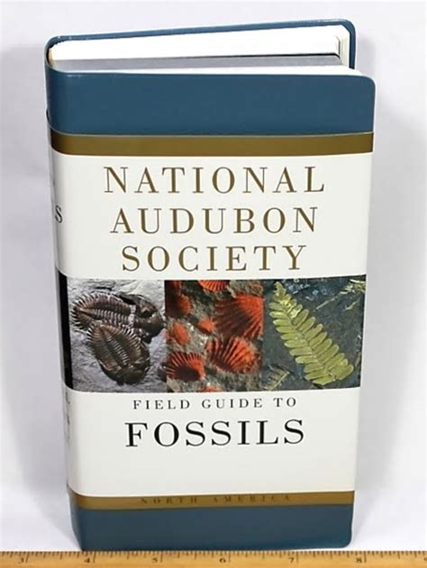 National audubon society field guide to north american fossils. - Diesel engine repair manual hino m10c.